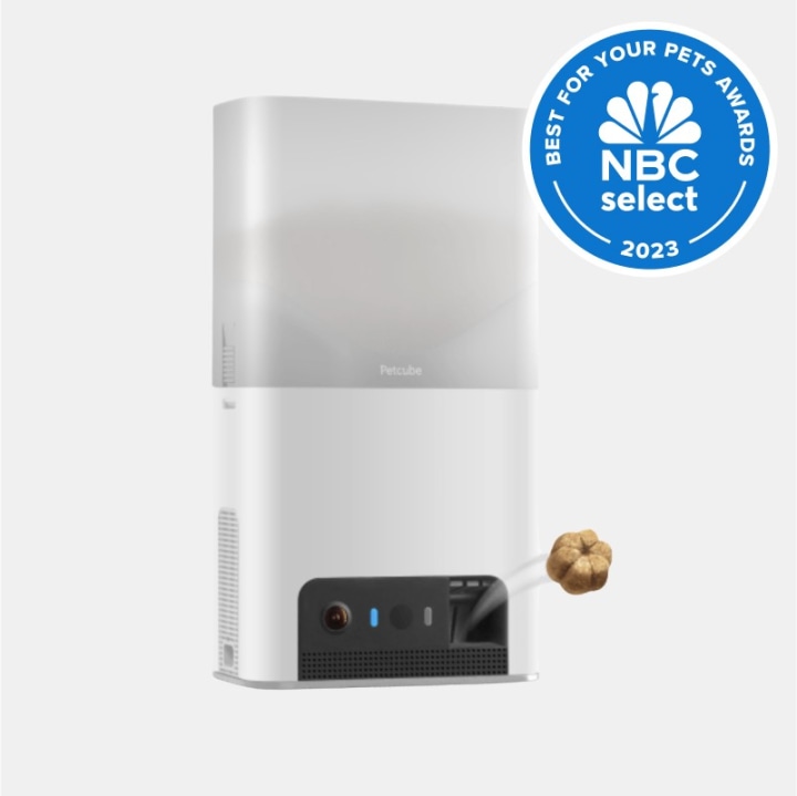 Pet Cube Bites 2 Lite