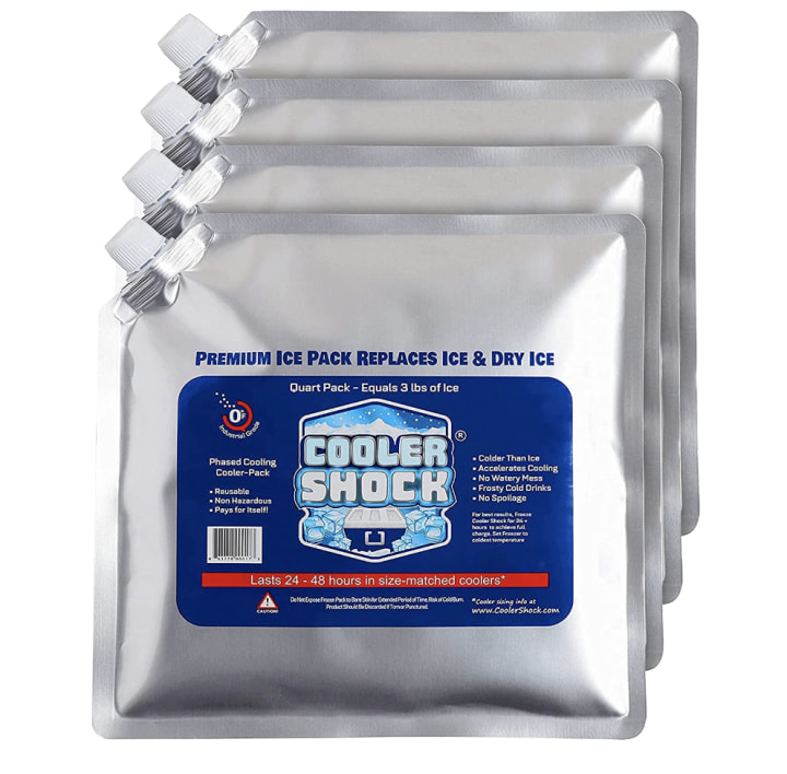 Cooler Shock Reusable Ice Packs