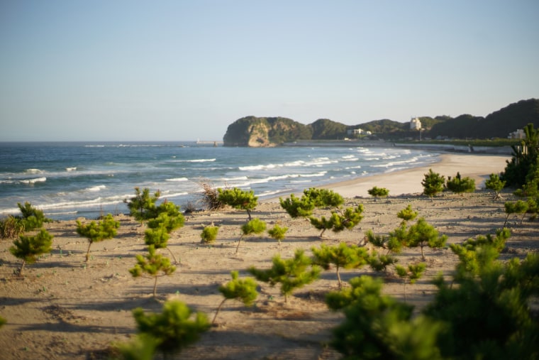 Fukushima shoreline.