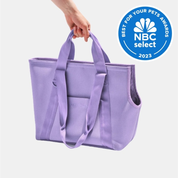 Wild One Everyday Carrier