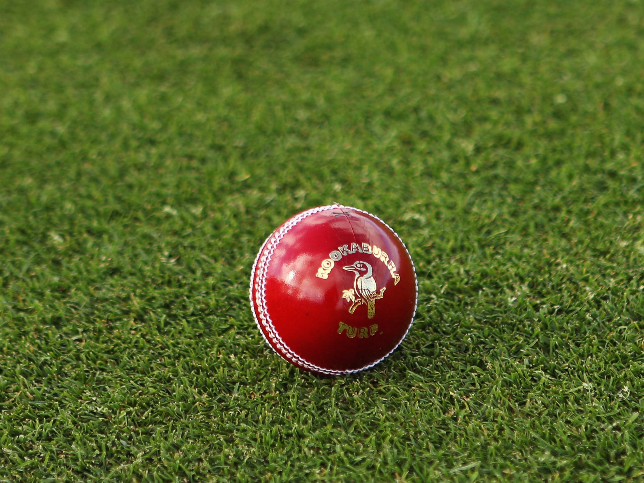 A general view of a cricket ball