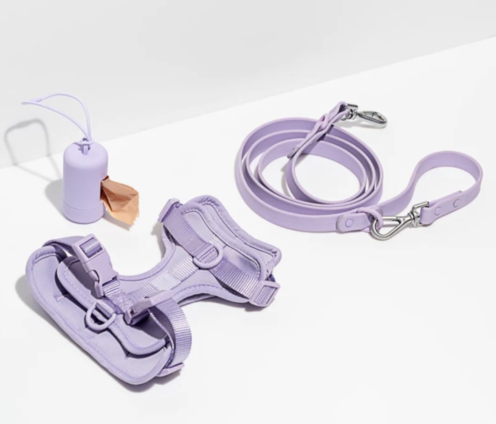 Wild One Harness Walk Kit