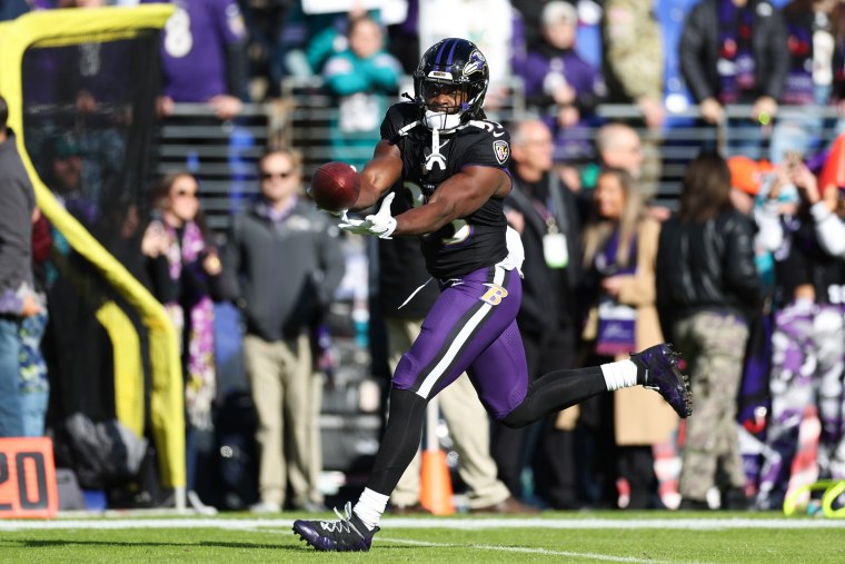 Miami Dolphins v Baltimore Ravens