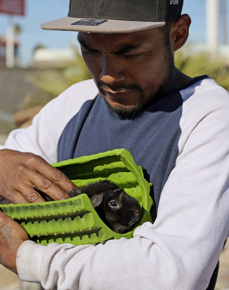 Shawn Fierro holds a friend’s guinea pig.