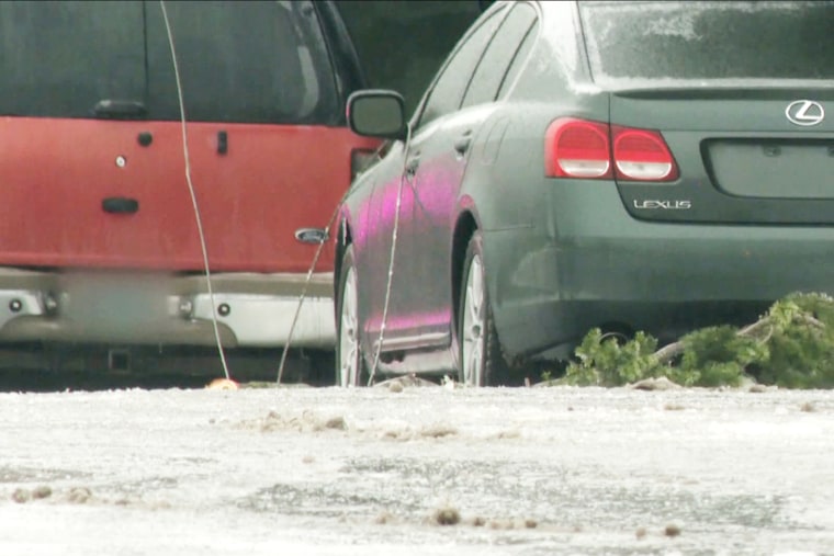 electric fatalities death power line downed tree branch