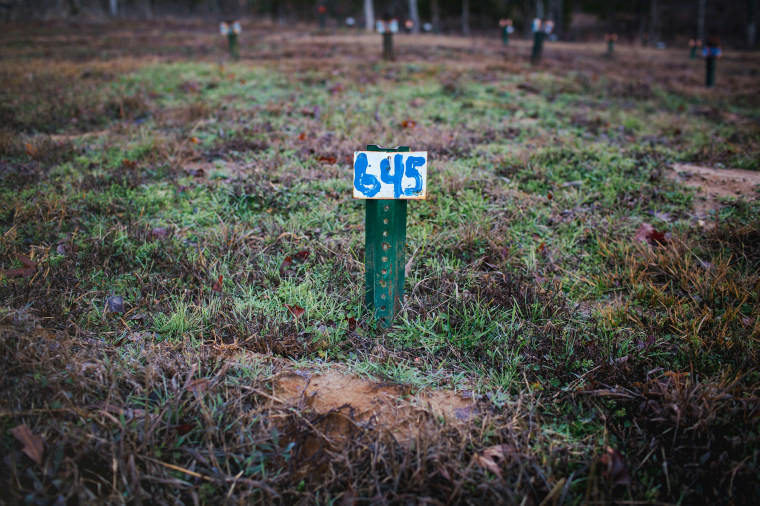 Gretchen Hankins Exhumation of Son, Jonathan Hankins 