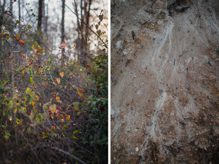 Hinds County has buried hundreds of people in pauper's graves near a penal farm. 