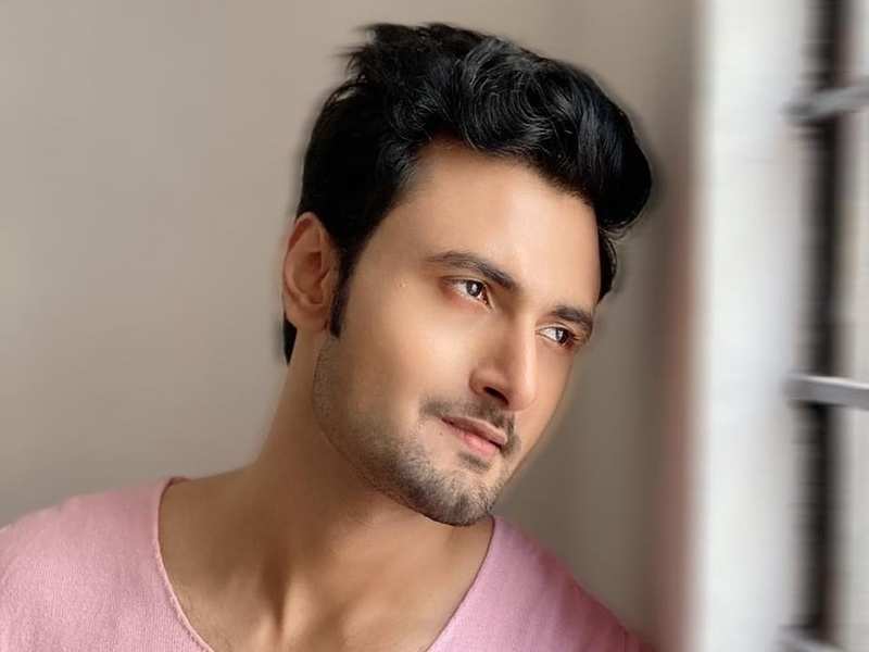 Sean Banerjee Height, Weight, Age, Girlfriend, Biography & More