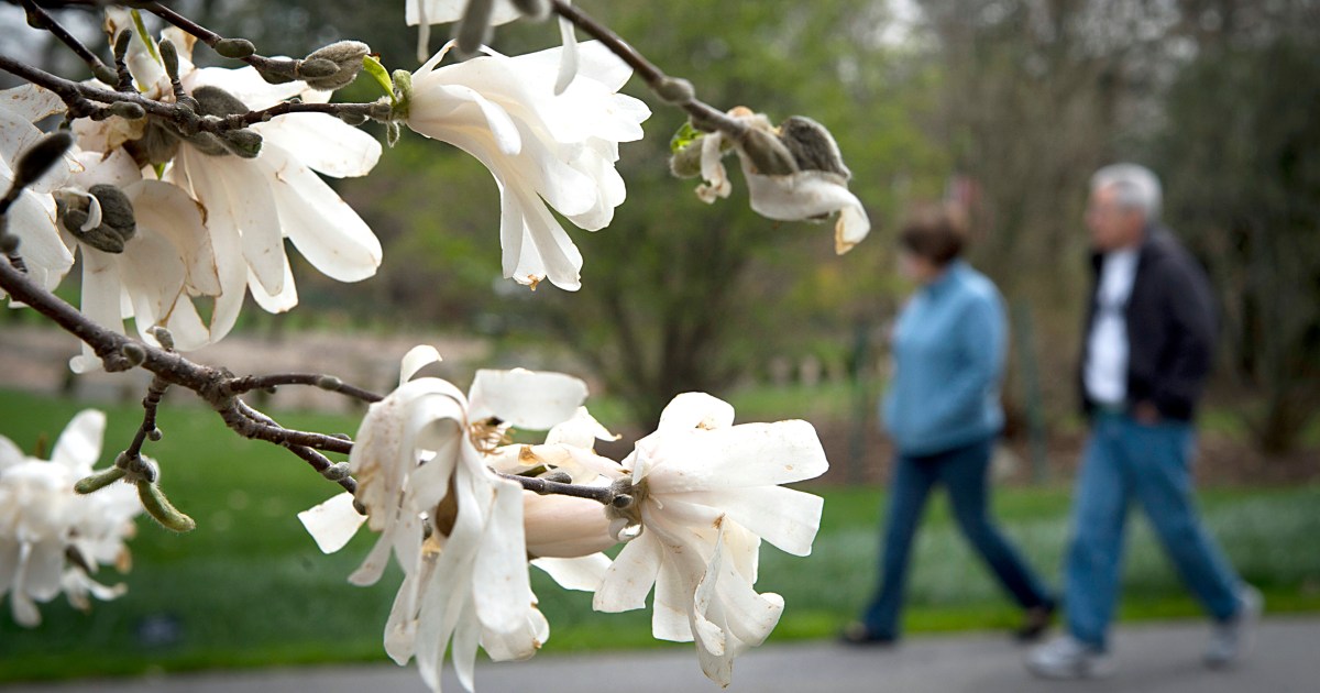 Many adults are getting allergies for the first time. Thanks, climate change.