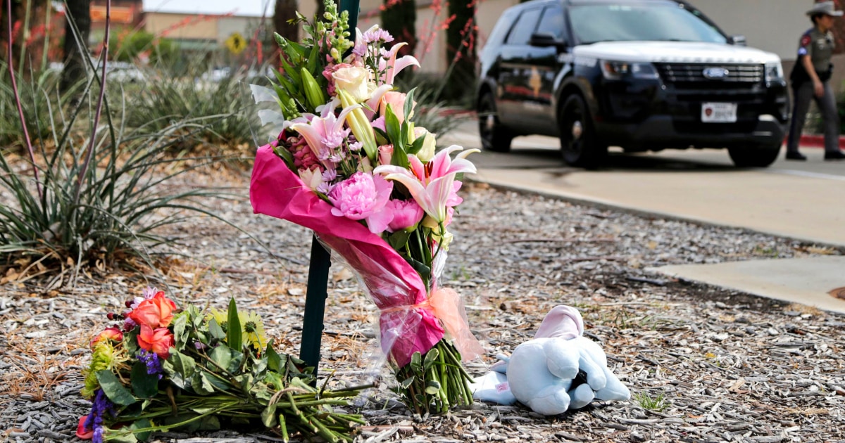 What we know about the slain Texas mall massacre suspect Mauricio Garcia