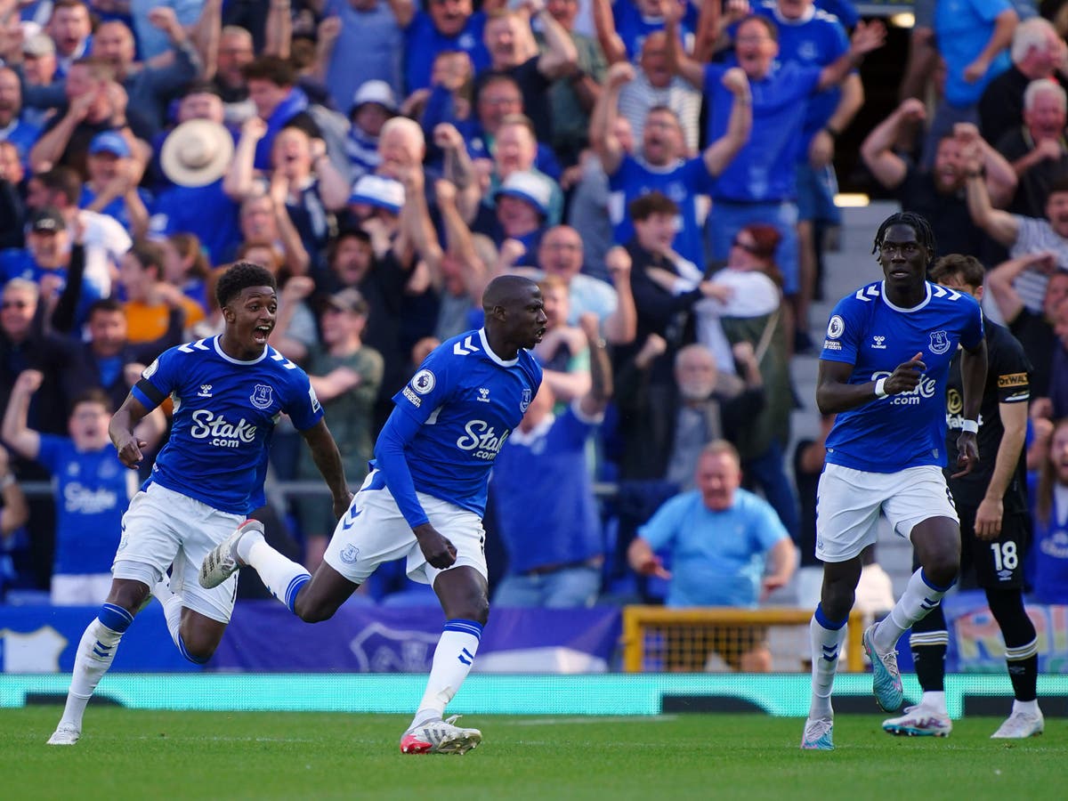Premier League relegation battle LIVE: Results and reaction as Everton survive