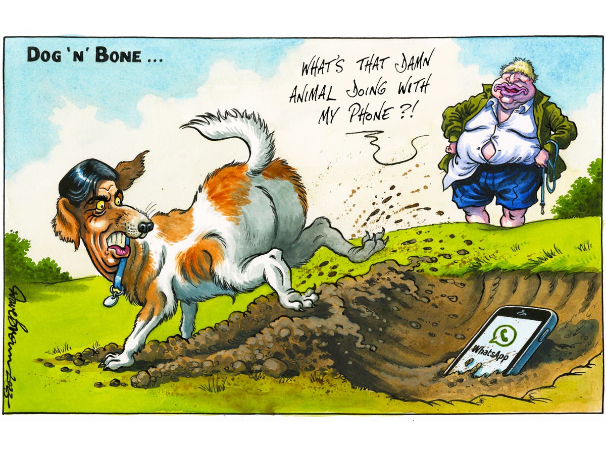 The Independent daily cartoon