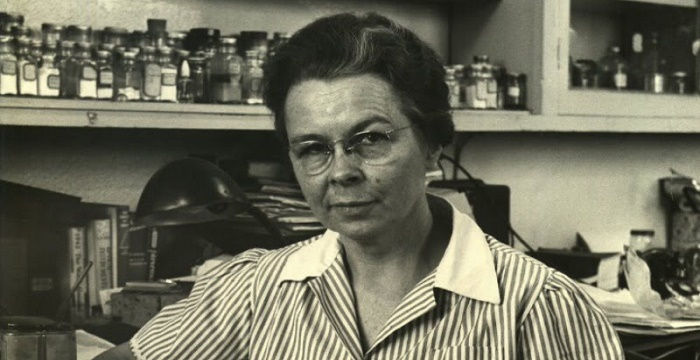 Edith Clarke Bio, Early Life, Career, Net Worth and Salary