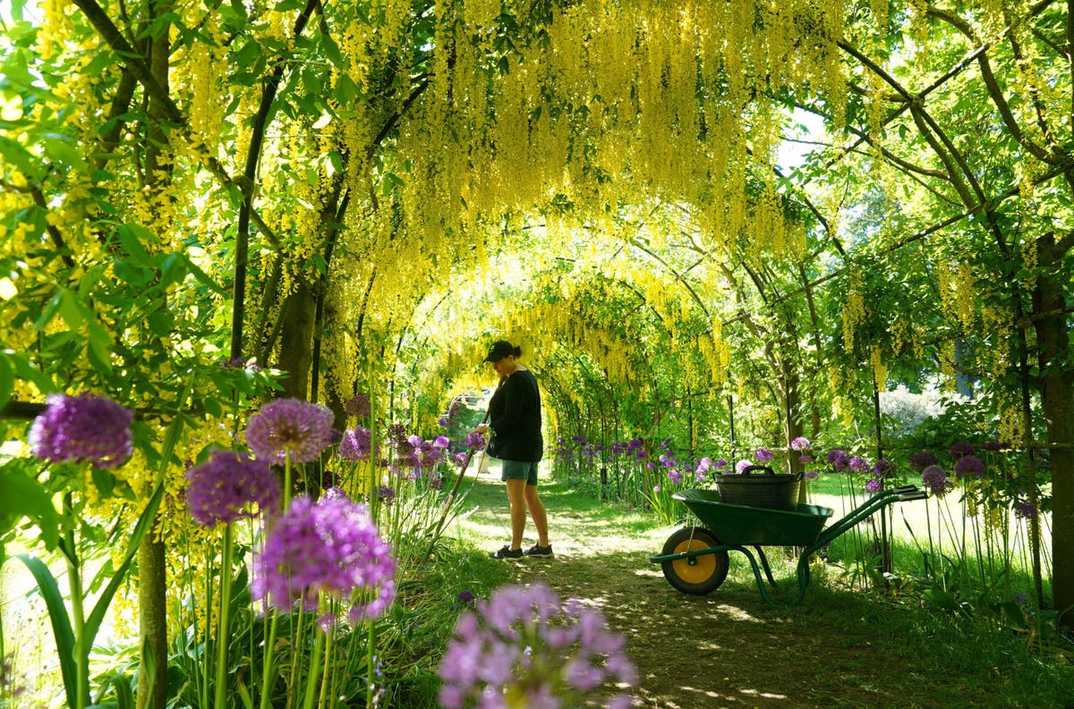 UK braces for hottest day of the year as temperatures set to hit 27C