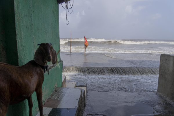 Thousands Evacuated in India and Pakistan as Cyclone Biparjoy Approaches
