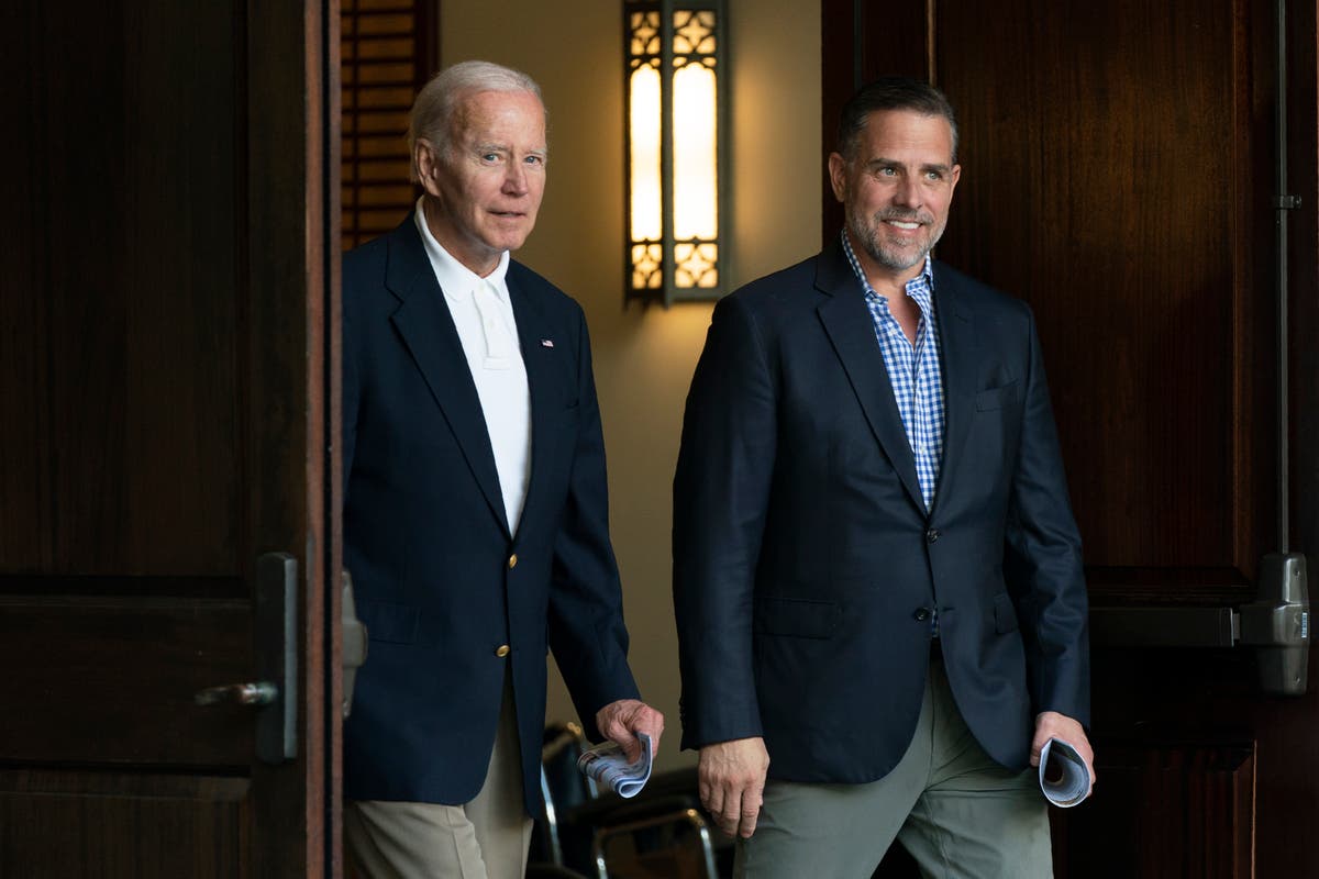 Hunter Biden to plead guilty in tax and gun probe – but avoid jail