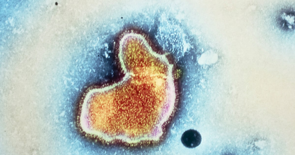 CDC panel recommends RSV vaccines for adults ages 65 and up