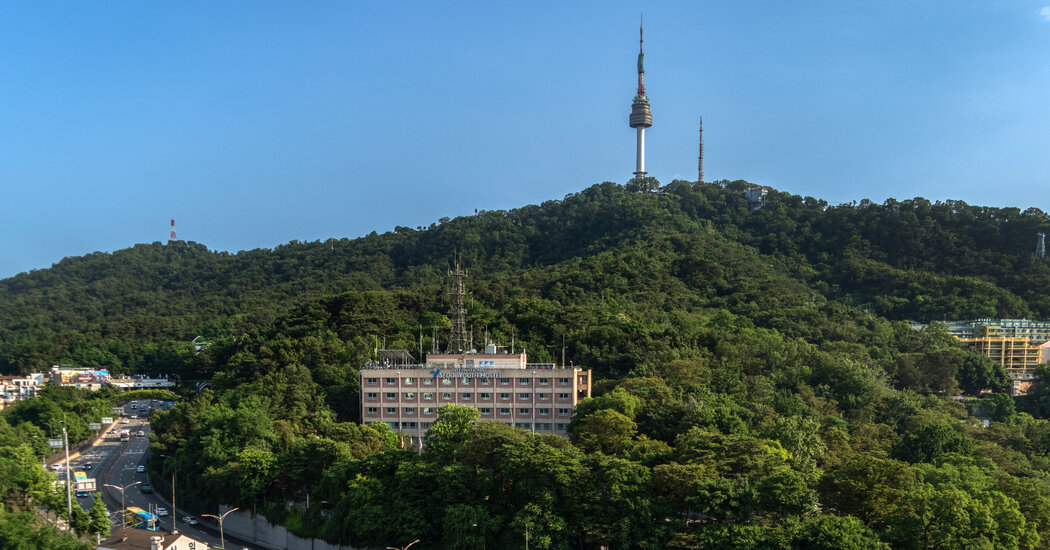 A Basement of Horrors in Seoul, Where Past and Present Collide