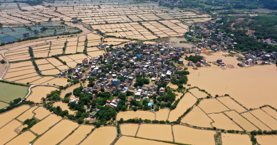 Extreme Floods and Heat in China Ravage Farms and Kill Animals