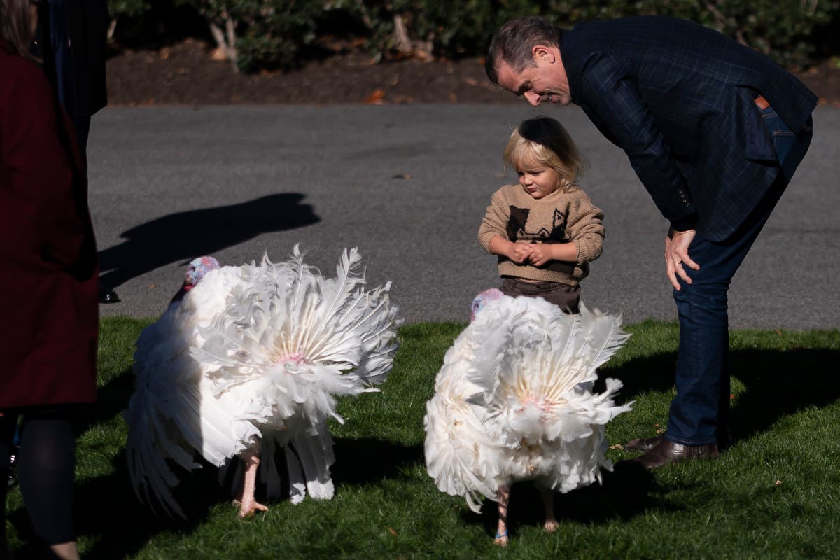 Hunter Biden reaches deal with DOJ to plead guilty to three federal charges