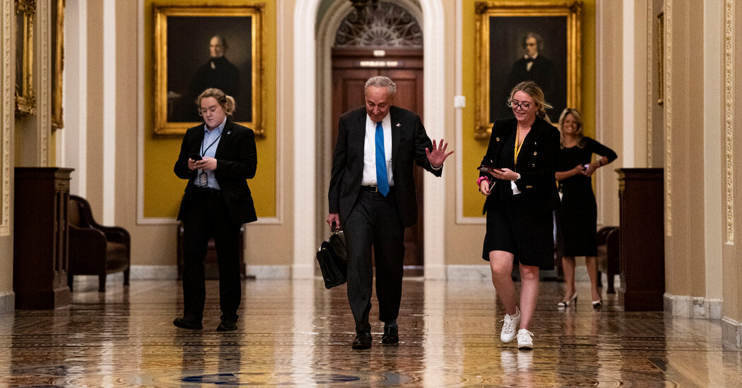 Schumer Lays Out Process to Tackle A.I., Without Endorsing Specific Plans