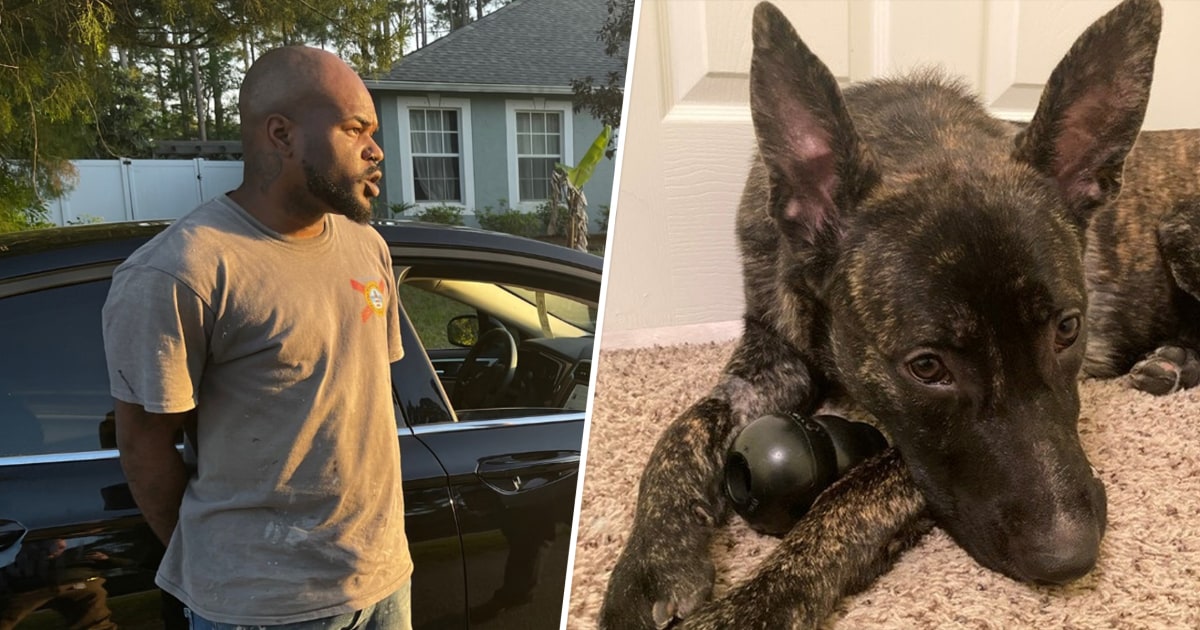 Florida man who shot dog in the face sentenced to 18 months in prison