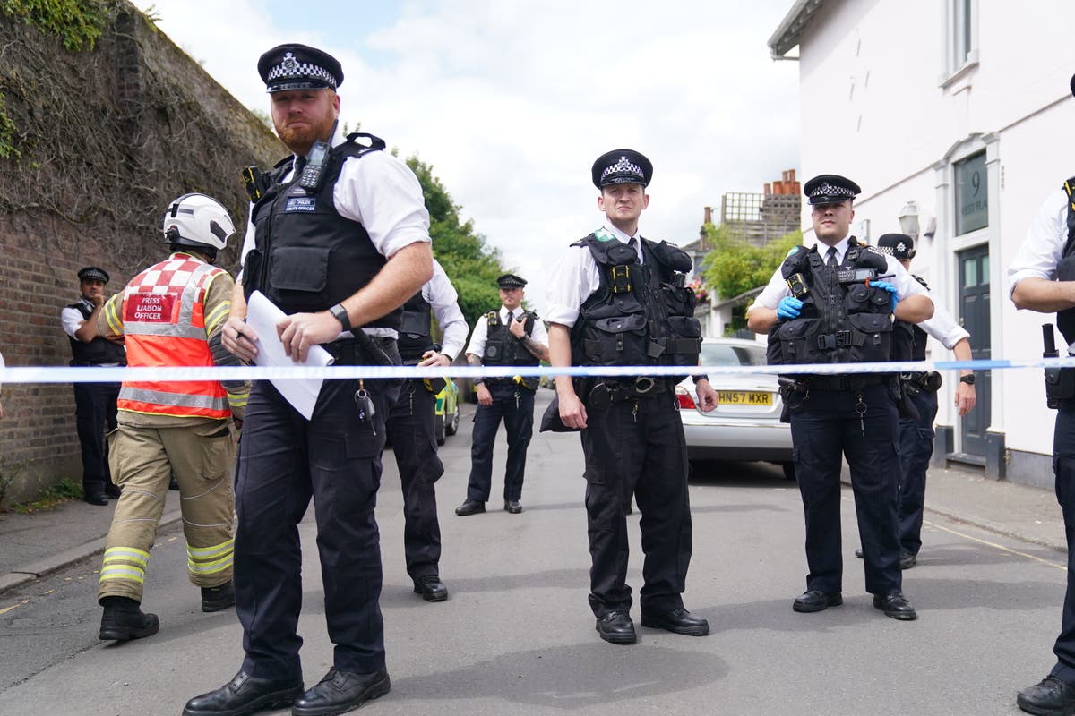 Car crashes into primary school ‘end-of-term tea party’ in Wimbledon – live