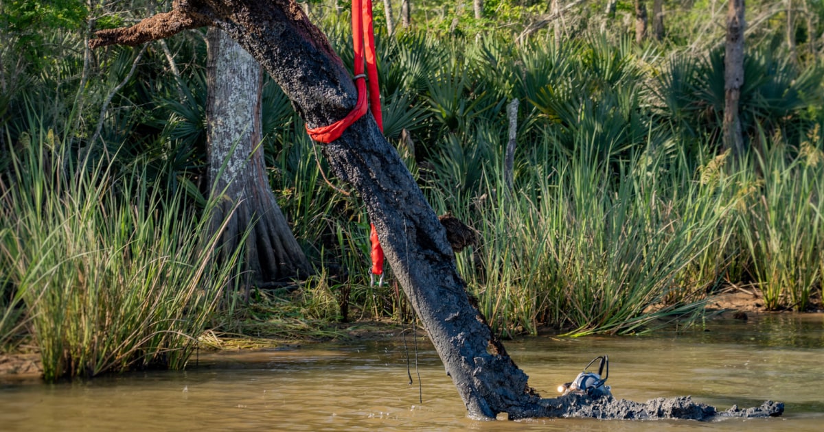 A shipwreck awash in Black history takes center stage in Alabama