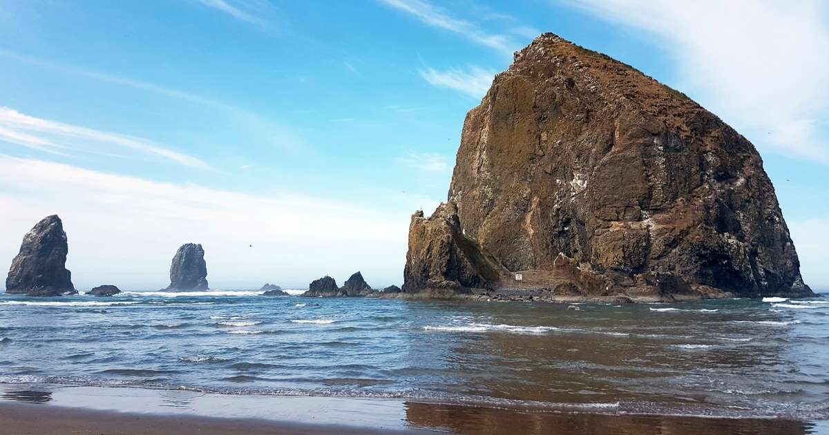 Cougar that closed Oregon's Cannon Beach moves on