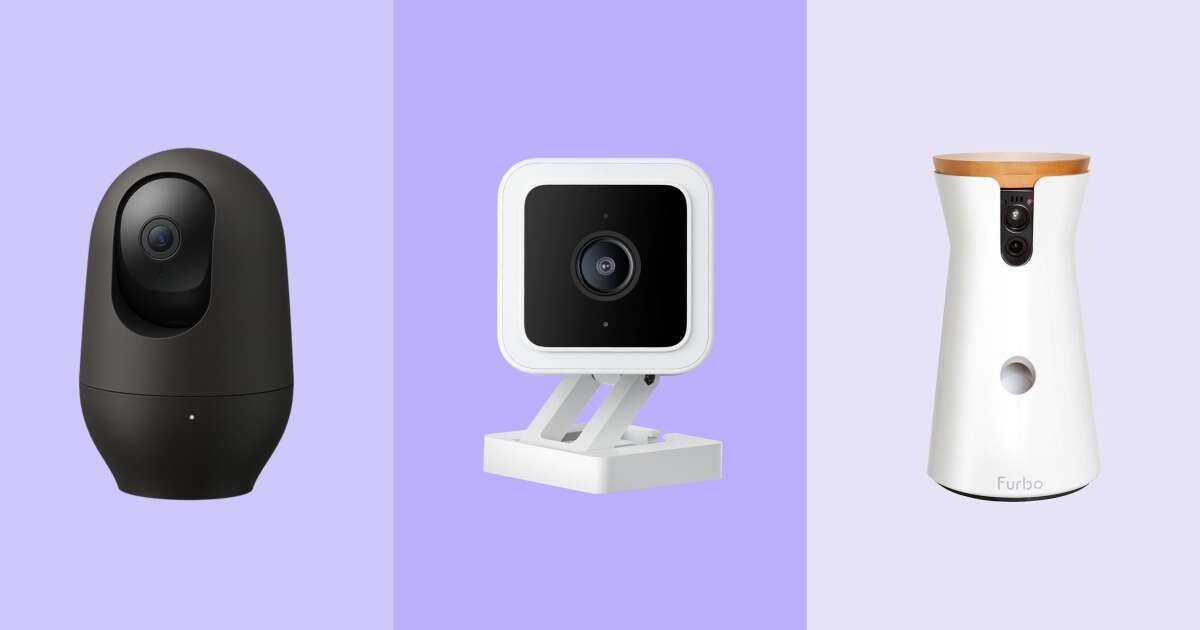 Spy on your dogs and cats while you're gone with these pet cameras