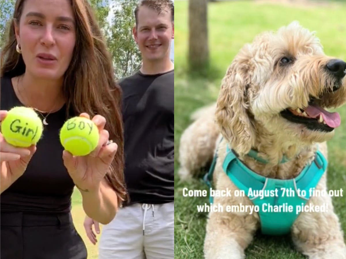 Couple doing IVF lets their dog decide baby’s sex through ultimate game of catch