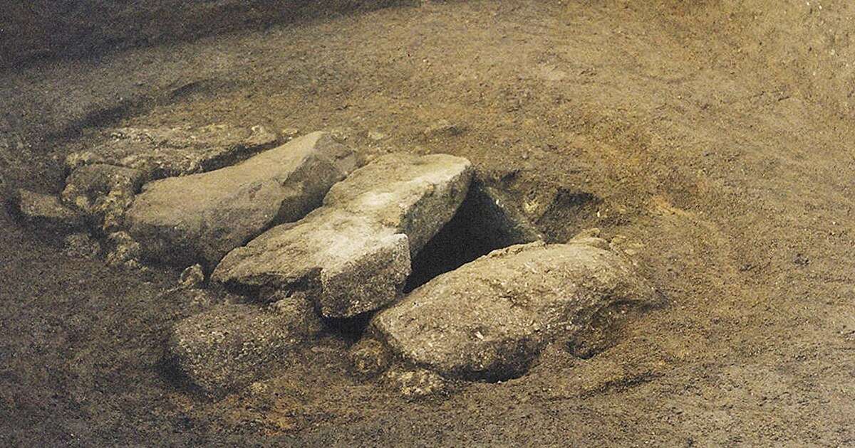 A mysterious 2,000-year-old Iron Age warrior was female, a new study shows