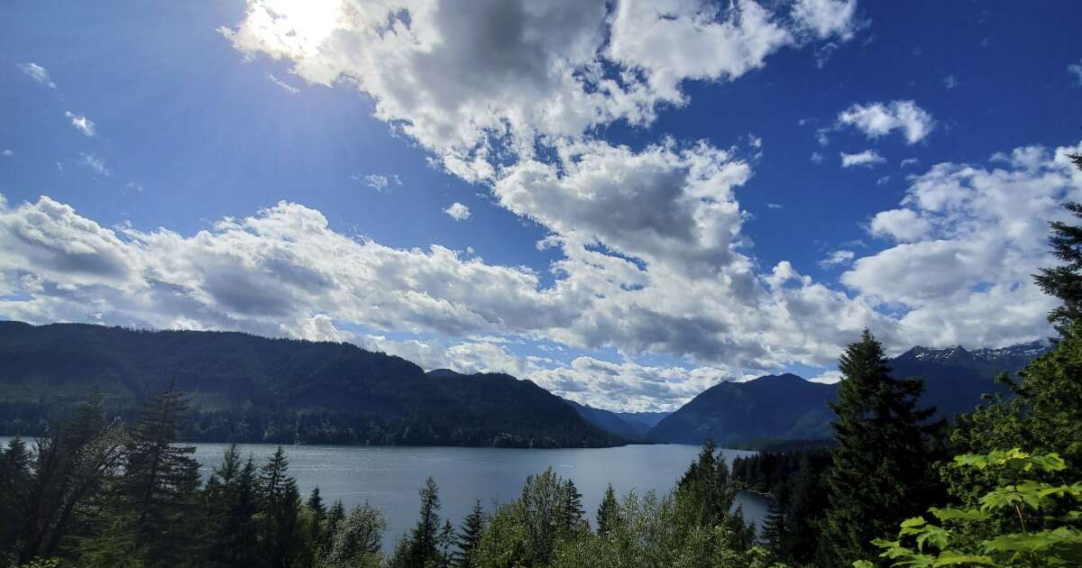 8-year-old boy survives cougar attack at national park in Washington state