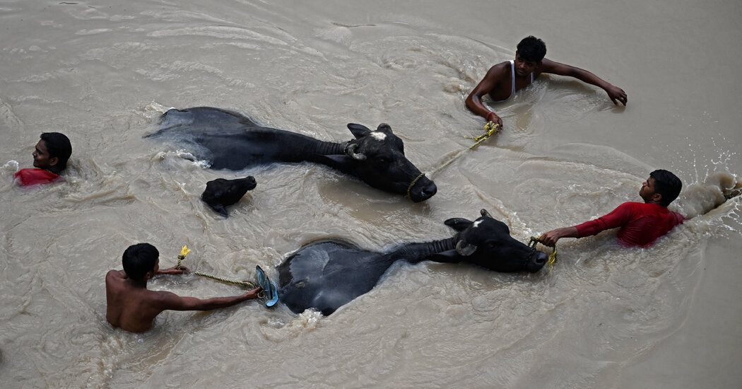 Evacuations Ordered in Delhi: Monsoon Flooding in Pictures