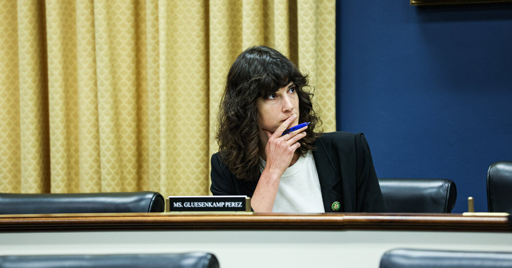 For One Democrat, the Price of Bucking Her Party Is a Flood of Bad Reviews