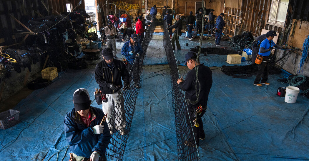 Japan’s Native Ainu Fight to Restore a Last Vestige of Their Identity