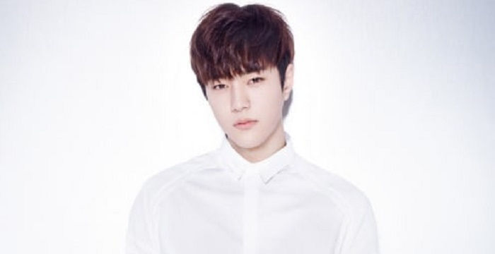 L (Kim Myung-soo) Bio, Early Life, Career, Net Worth and Salary