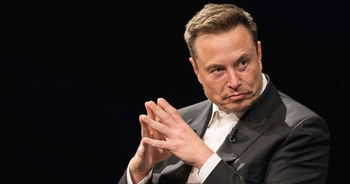 Twitter rebrands to 'X' as Elon Musk loses iconic bird logo