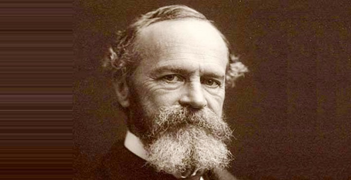 William James Bio, Early Life, Career, Net Worth and Salary