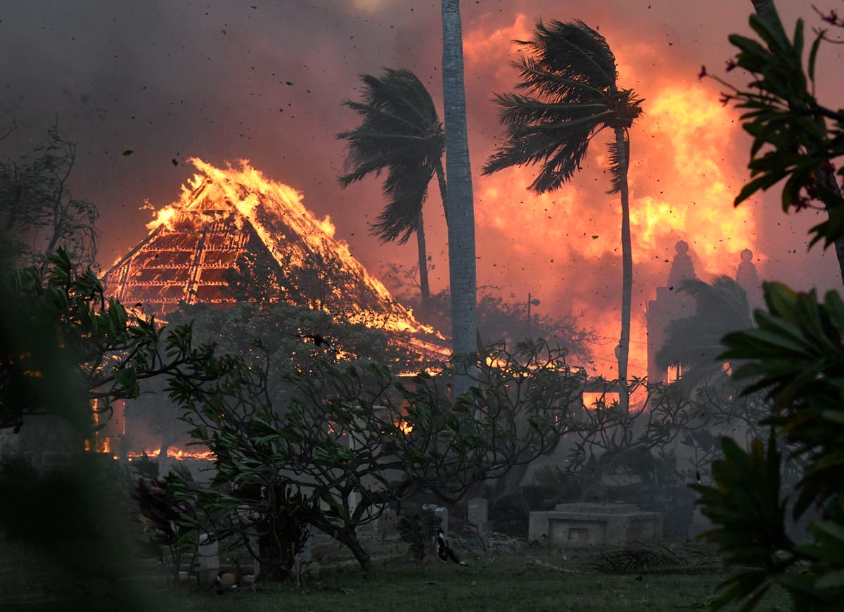 At least 36 killed in Hawaii wildfires as locals dive into sea to escape flames