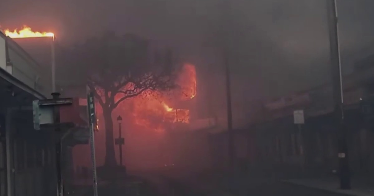 'Amazingly devastating:' FEMA official describes Maui fire's speed and environmental dangers