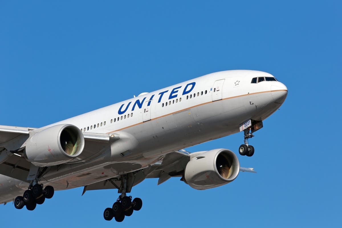 United Airlines to pay $30m to man left brain damaged after removal from plane