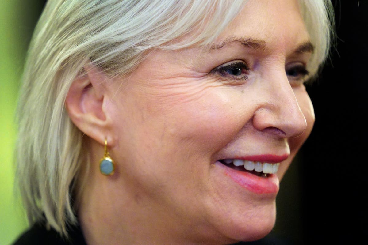 ‘Dosser’ Nadine Dorries faces new bill to force by-election