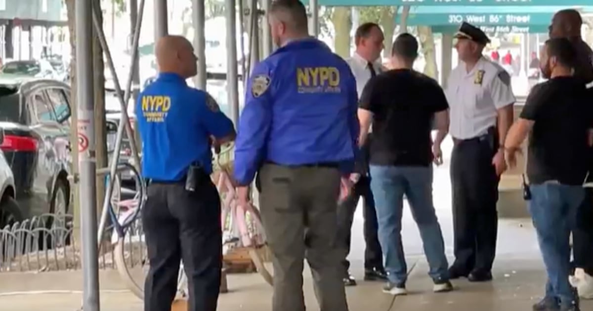 Two young children, two adults dead in possible NYC murder-suicide