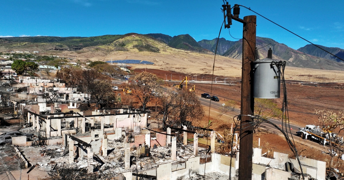 Maui victims seek ex-consultant’s files on what Hawaiian Electric knew about wildfire risks