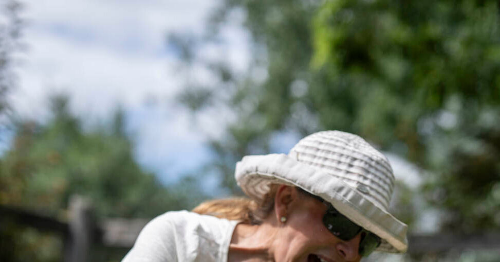 4,000 Rescued Beagles, Bred for Research, Found Homes and Best Friends