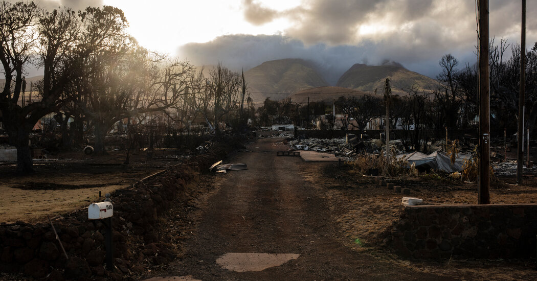 As Search for Maui Victims Goes On, Names of Dead Are Slow to Emerge