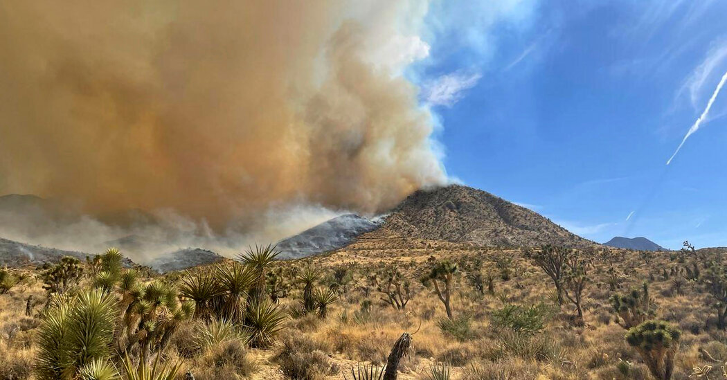 California’s Largest Wildfire of the Year Sweeps Across the Mojave