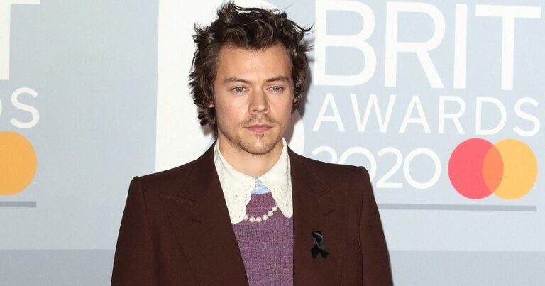 Harry Styles Bio, Early Life, Career, Net Worth and Salary