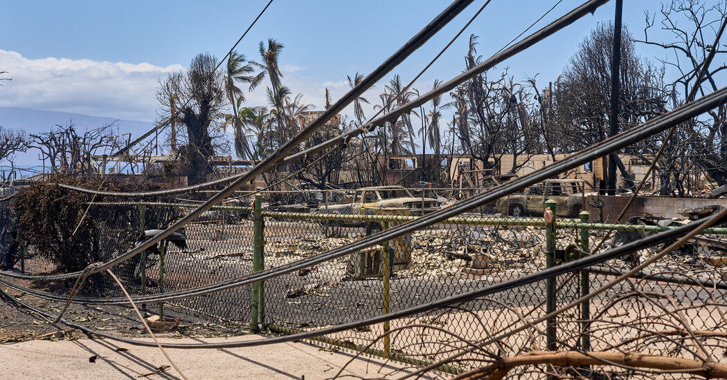Hawaiian Electric Draws Scrutiny in Search for What Sparked Deadly Wildfire